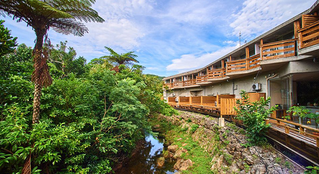 西表島ジャングルホテル パイヌマヤ